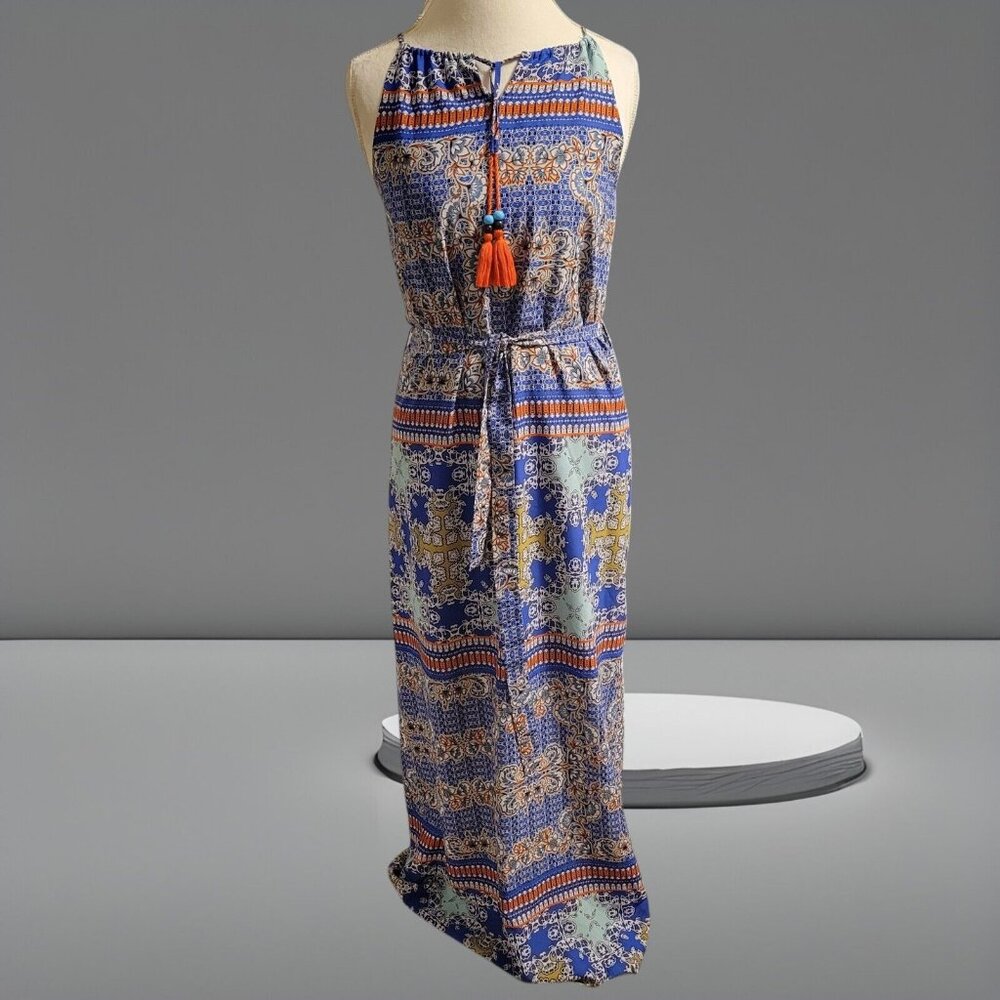 The Limited Floral Lined Maxi Dress Side Slit Polyester Spandex Size Small - Picture 2 of 5